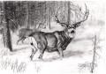 dibujo a lápiz de ciervo en blanco y negro